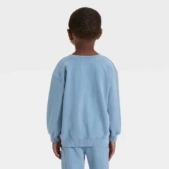 Toddler Boys' Washed French Terry Sweatshirt - Cat & Jack™