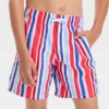Boys' Multi Striped Swim Shorts - Cat & Jack™ Blue -CAT & JACK Shop GUEST 99a23cac d1ae 419f b9e9 43f88921c4f5