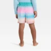 Toddler Boys' Scenic Beach Swim Shorts - Cat & Jack™ Pink/Blue