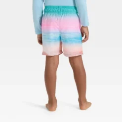 Toddler Boys' Scenic Beach Swim Shorts - Cat & Jack™ Pink/Blue