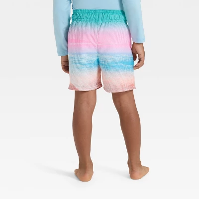 Toddler Boys' Scenic Beach Swim Shorts - Cat & Jack™ Pink/Blue 1 Toddler Boys' Scenic Beach Swim Shorts - Cat & Jack™ Pink/Blue
